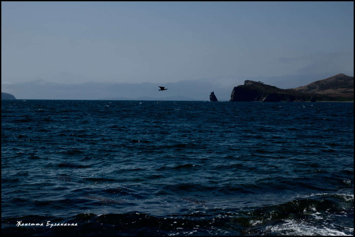 ��������� ���� ��� ����... ����� ������� ��������� �� PhotoGeek.ru #������ ��� ������� #����� ��������