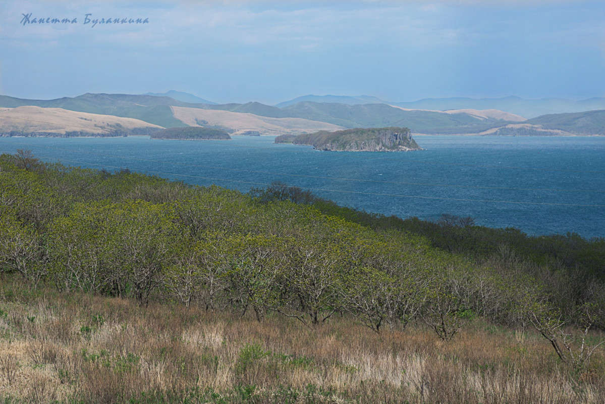 *** ����� ������� ��������� �� PhotoGeek.ru #������ ��� ������� #���������