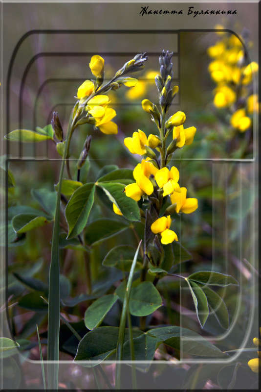 ������ ����� ����� ������� ��������� �� PhotoGeek.ru #������ ��� ������� #����� �������������� #����� ��������