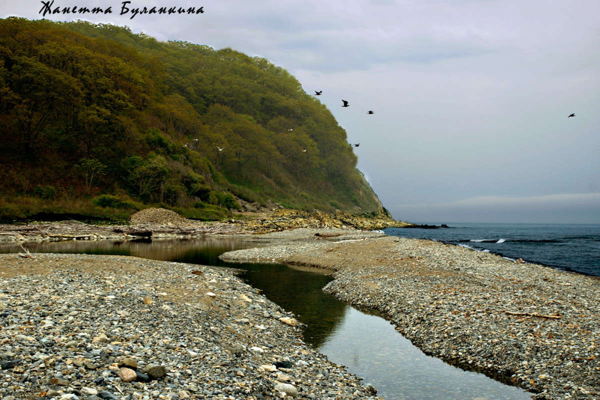 ���������� ����� ����� ������� ��������� �� PhotoGeek.ru #������ ��� �������