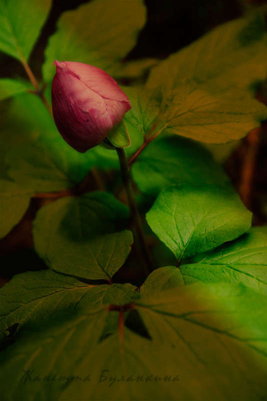 ������ ���� ����� ������� ��������� �� PhotoGeek.ru #������ ��� ������� #����� ��������������