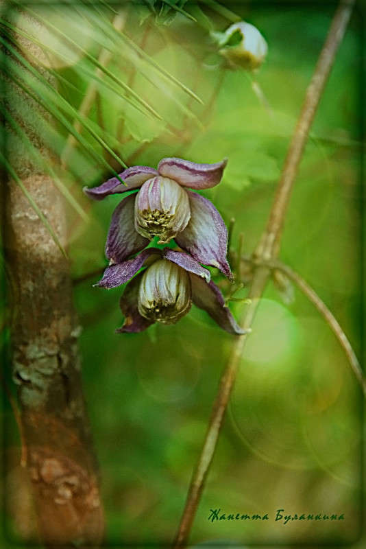 ������ ����� ����� ������� ��������� �� PhotoGeek.ru #������ ��� ������� #����� ��������������