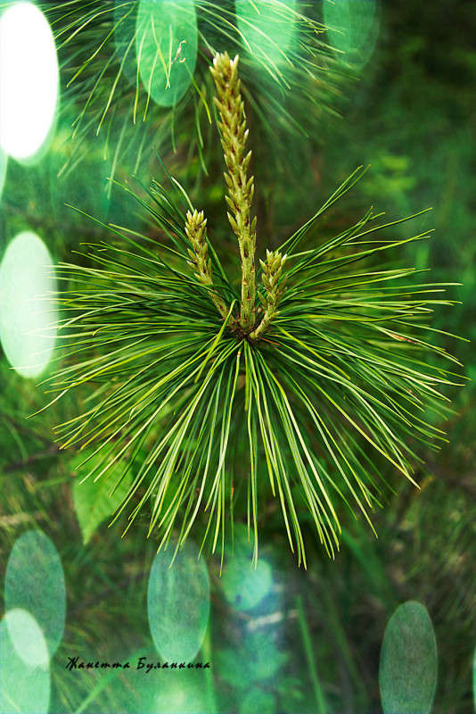 ����� ����� ������� ��������� �� PhotoGeek.ru #������ ��� ������� #����� ��������������