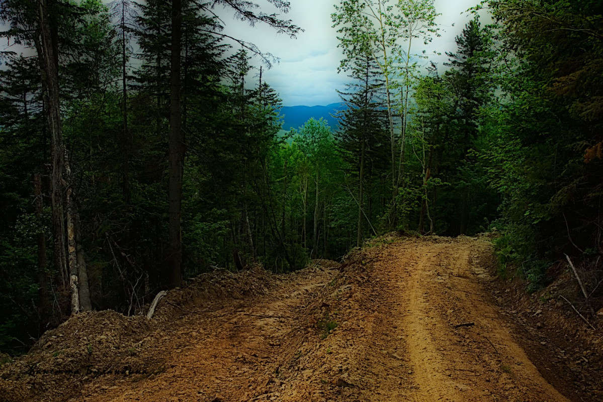 ������, ������� �� ��������... ����� ������� ��������� �� PhotoGeek.ru #������ ��� ������� #���������