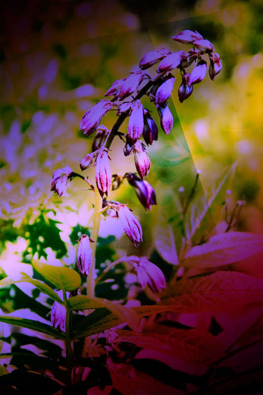 ����������� ����� ������� ��������� �� PhotoGeek.ru #������ ��� ������� #����� ��������������