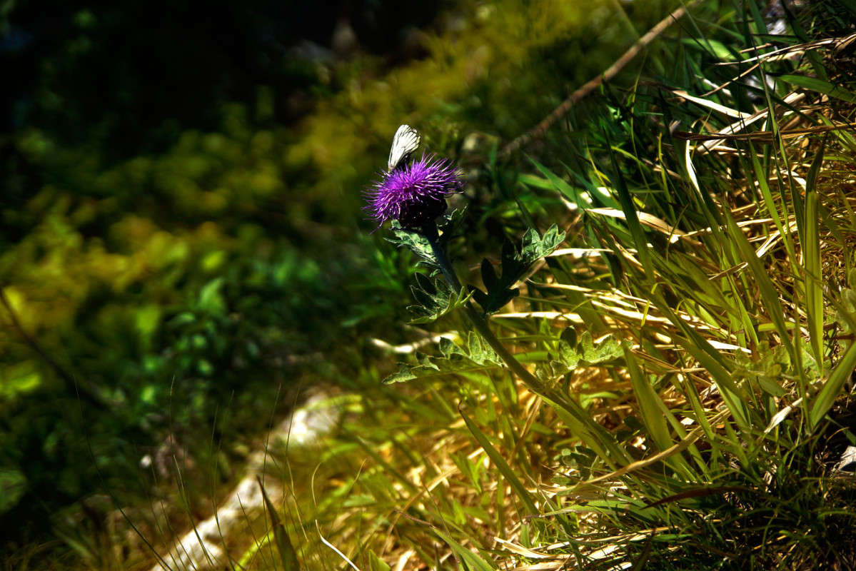 �� �������� ����� ������� ��������� �� PhotoGeek.ru #������ ��� ������� #����� ��������������