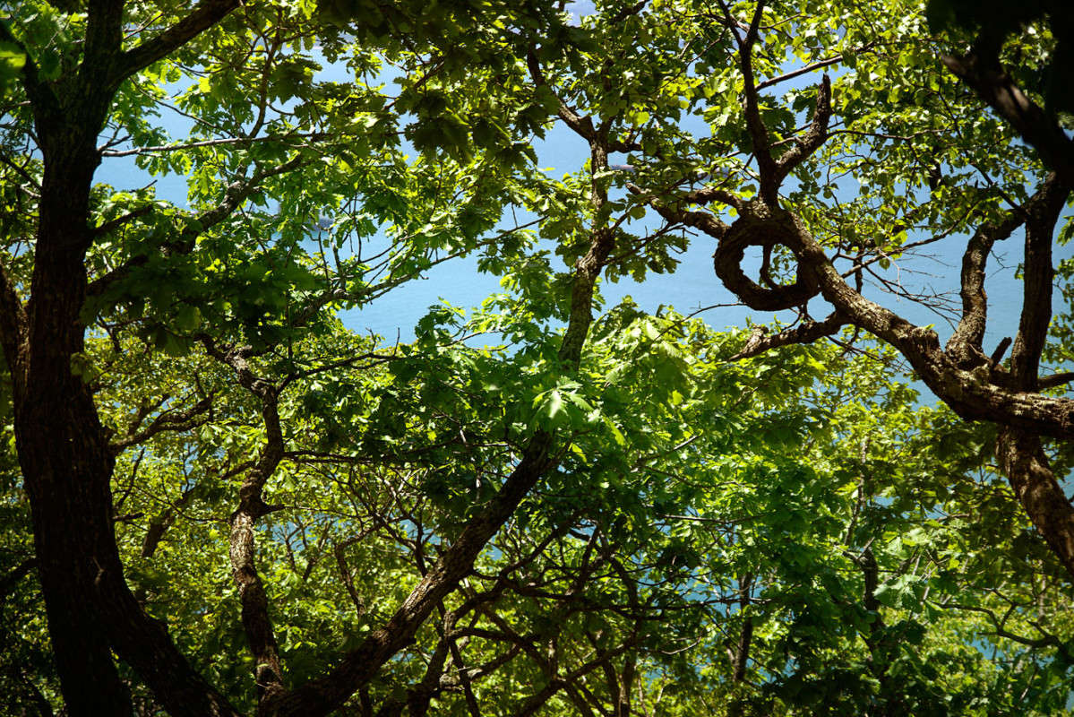 �� ���� ���� ����� ������� ��������� �� PhotoGeek.ru #������ ��� ������� #���������