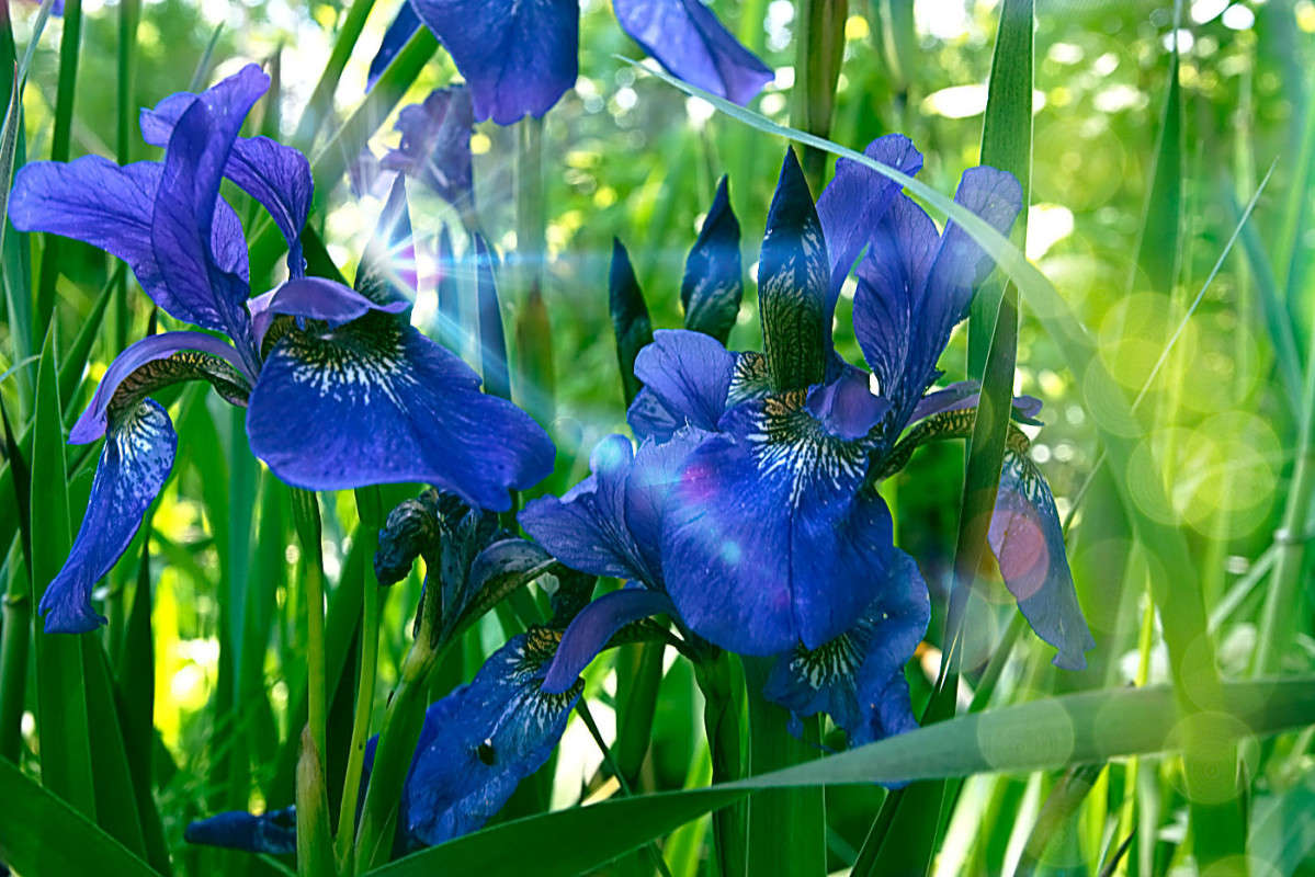 ���������... ����� ������� ��������� �� PhotoGeek.ru #������ ��� ������� #����� ��������������