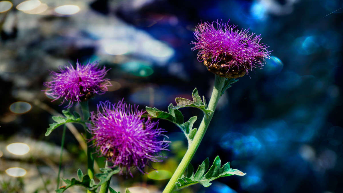 ������  ����� ����� ������� ��������� �� PhotoGeek.ru #������ ��� ������� #����� ��������������