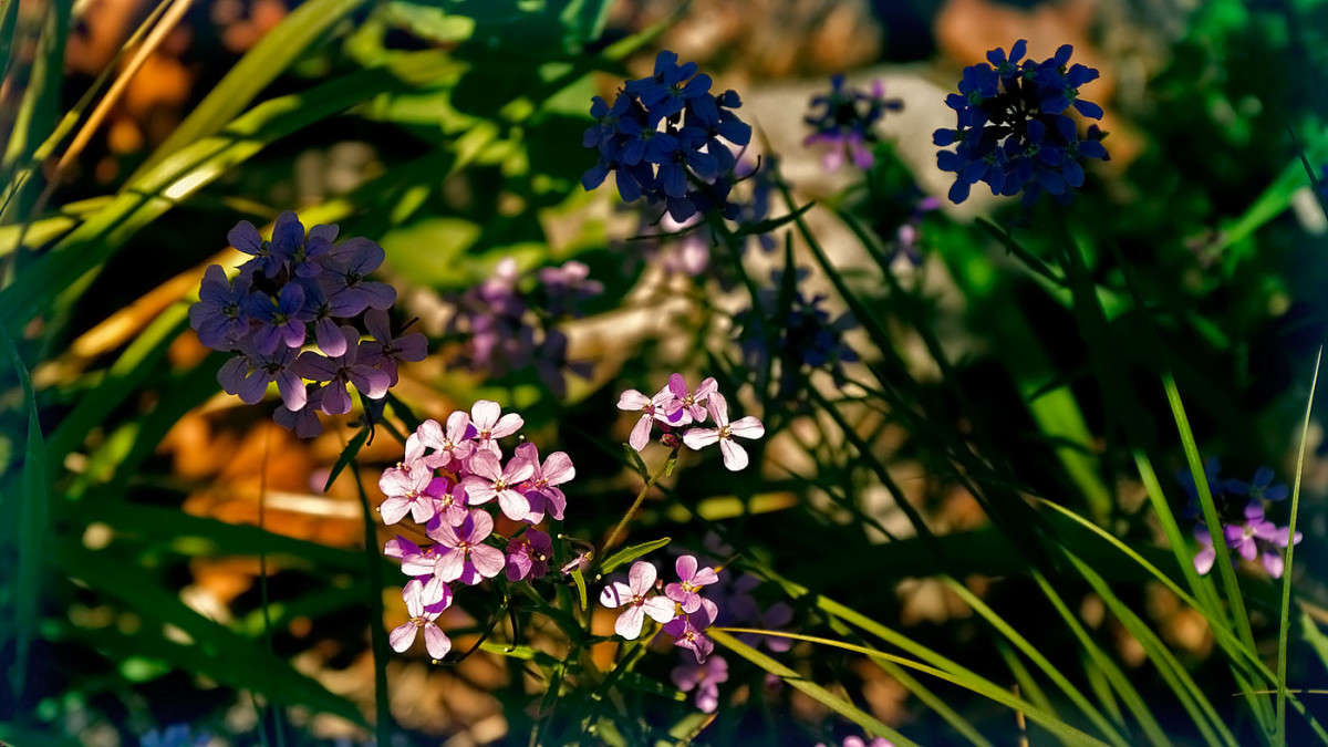 ���� ������... ����� ������� ��������� �� PhotoGeek.ru #������ ��� ������� #����� ��������������