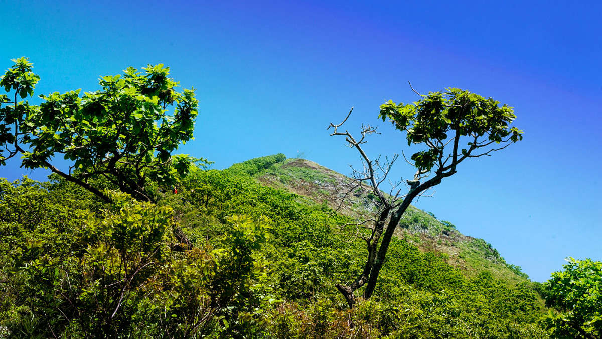 � ������� ����� ������� ��������� �� PhotoGeek.ru #������ ��� ������� #���������