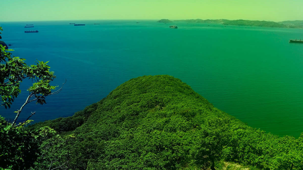 �������� � ���� ����� ������� ��������� �� PhotoGeek.ru #������ ��� �������