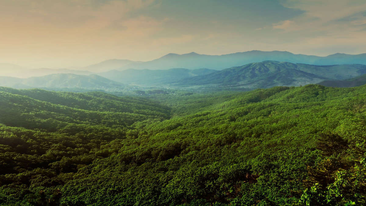 ������ �������� ����� ������� ��������� �� PhotoGeek.ru #������ ��� �������