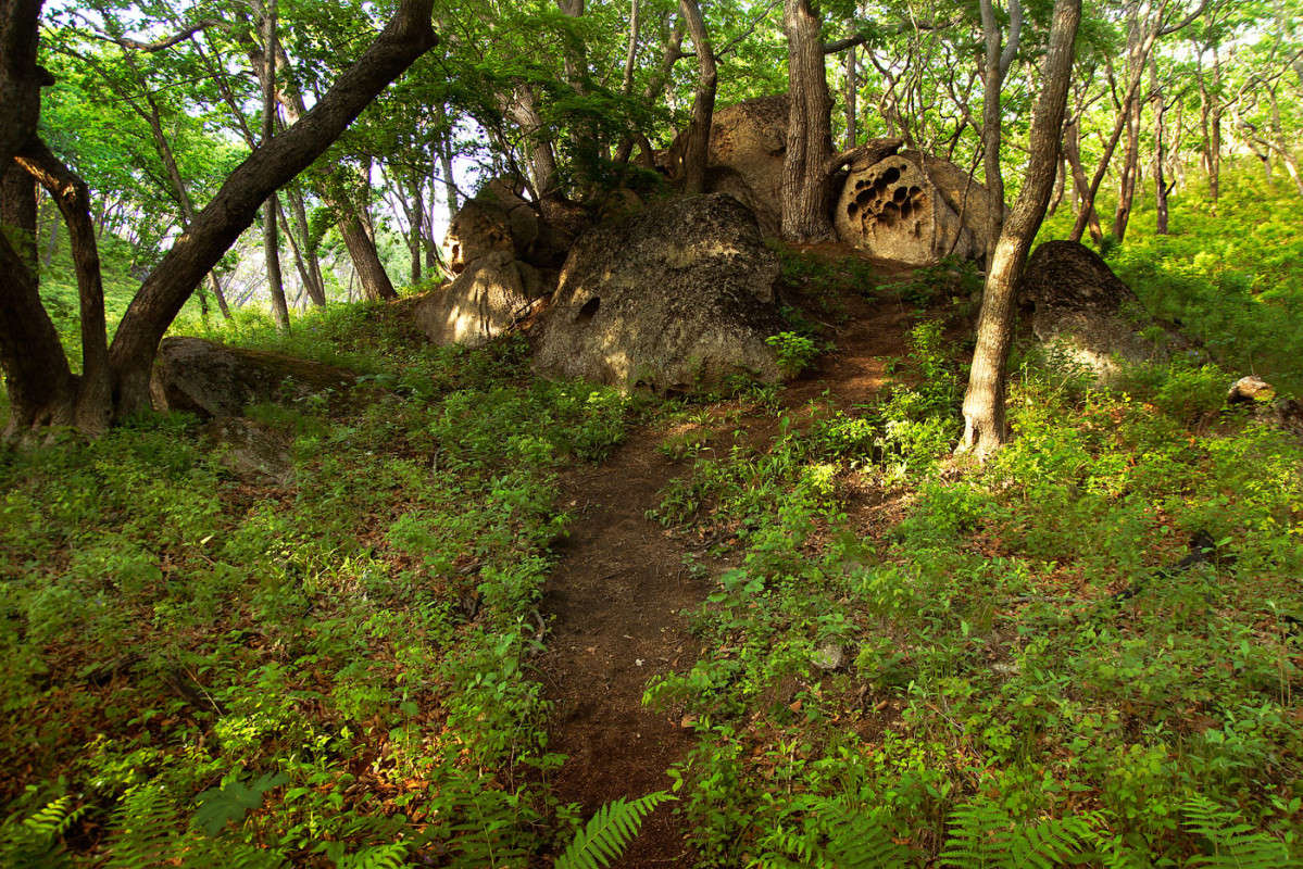 ����� � ����... ����� ������� ��������� �� PhotoGeek.ru #������ ��� �������