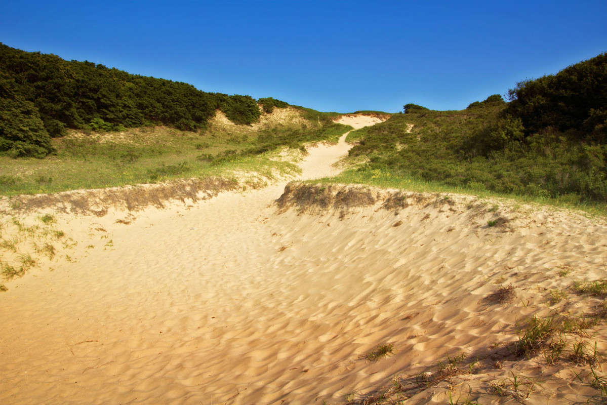 ������� ����� ������� ��������� �� PhotoGeek.ru #������ ��� �������