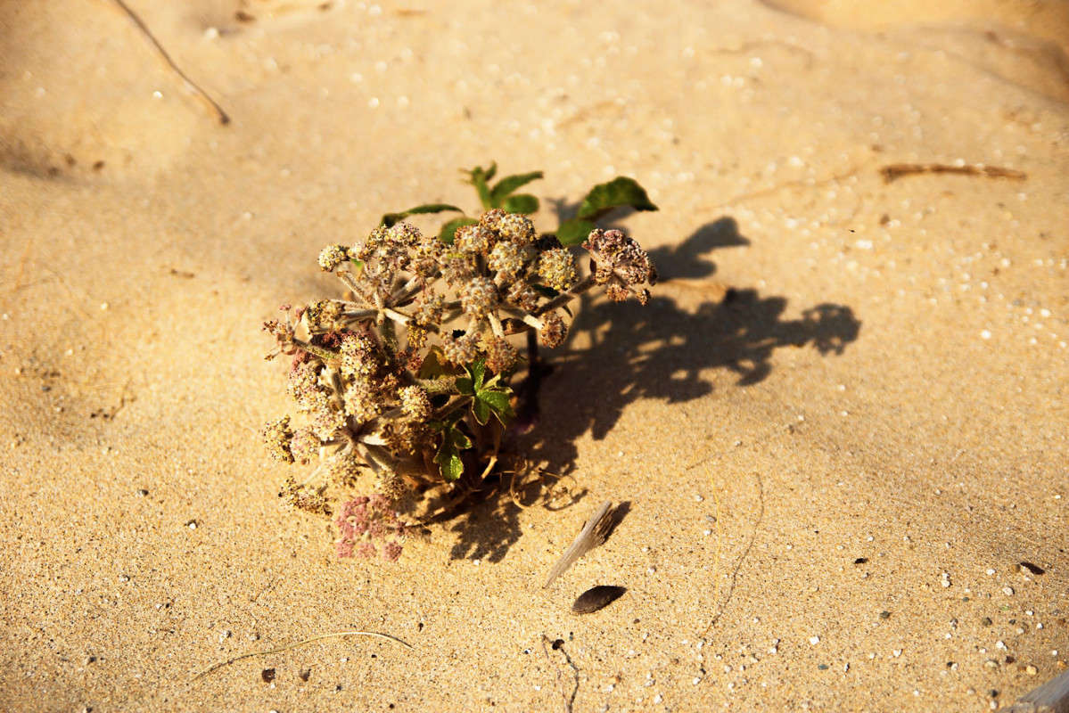 � ������... ����� ������� ��������� �� PhotoGeek.ru #������ ��� �������