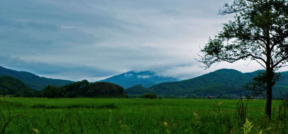 ����������... ����� ������� ��������� �� PhotoGeek.ru #������ ��� ������� #���������