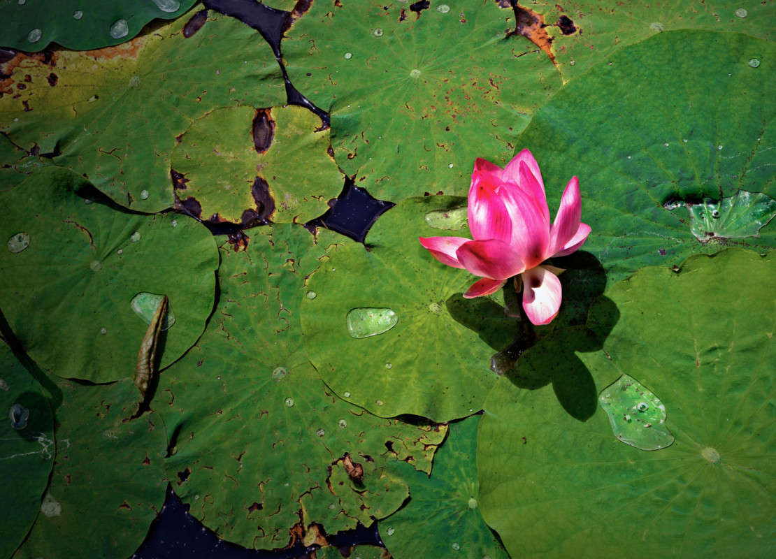 ����� ������� ����� ������� ��������� �� PhotoGeek.ru #�����