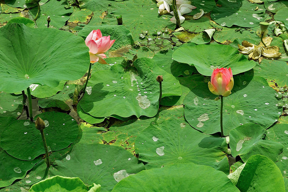 ����� ������� ����� ������� ��������� �� PhotoGeek.ru #�����