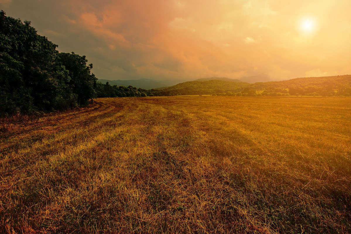 ����.. ������� ���� ����� ������� ��������� �� PhotoGeek.ru #������ ��� �������