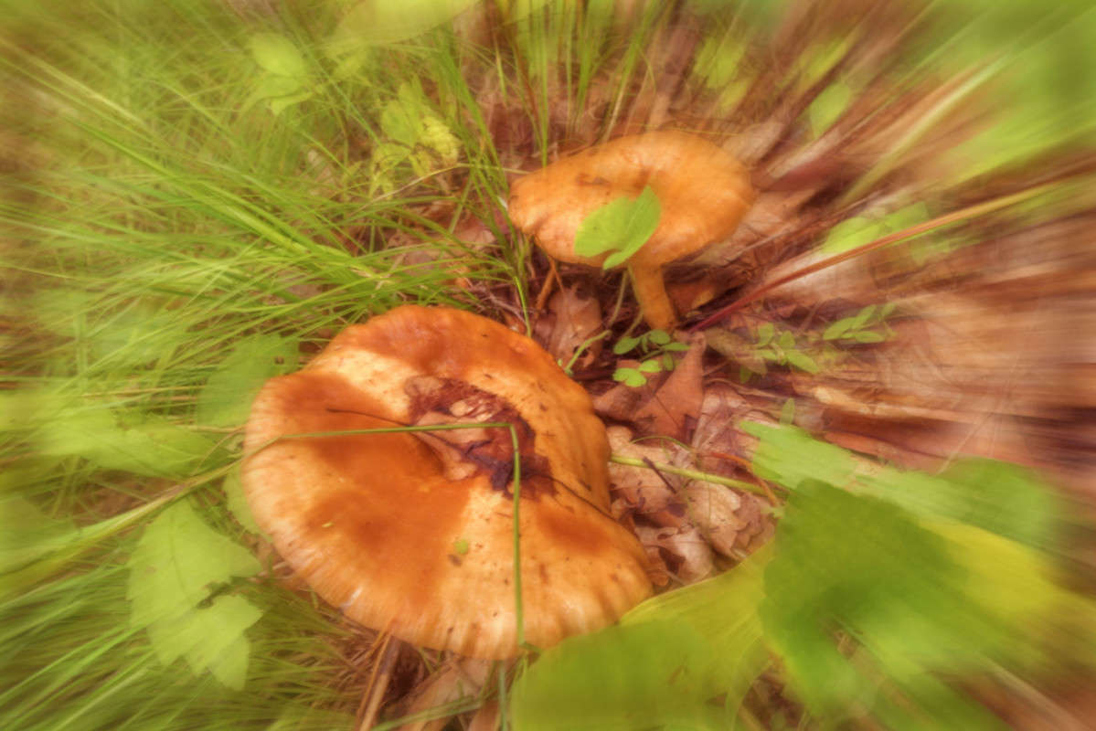 ��� ����� ��������� ����� ������� ��������� �� PhotoGeek.ru #������ ��� ������� #����� ��������������