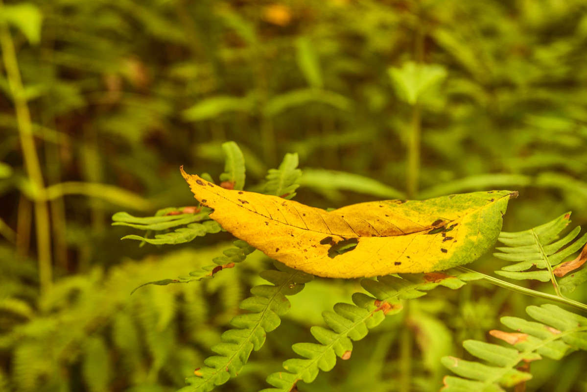 ���������� �� .... ����� ������� ��������� �� PhotoGeek.ru #������ ��� ������� #����� ��������������