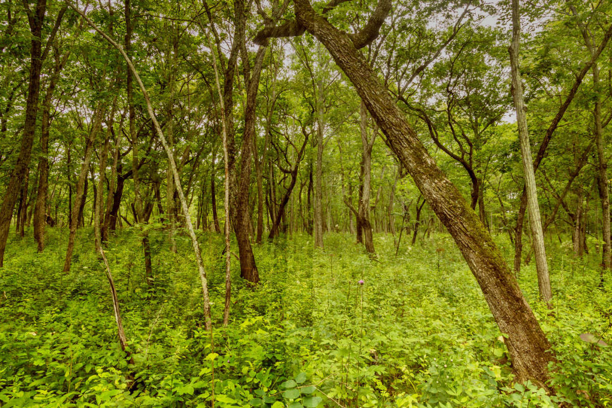 ��� ����� ������� ��������� �� PhotoGeek.ru #������ ��� �������