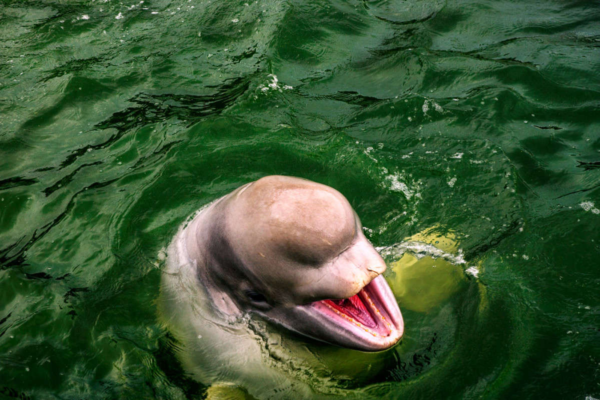 ������� ����� ������� ��������� �� PhotoGeek.ru #�������� ���