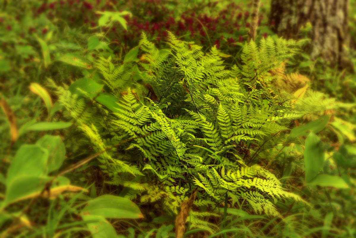 ... ����� ������� ��������� �� PhotoGeek.ru #������ ��� �������