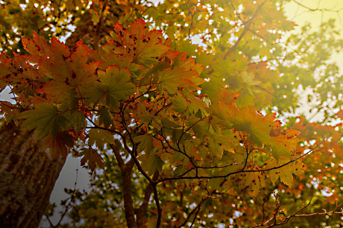 �� ��� � �����... ����� ������� ��������� �� PhotoGeek.ru #������ ��� �������