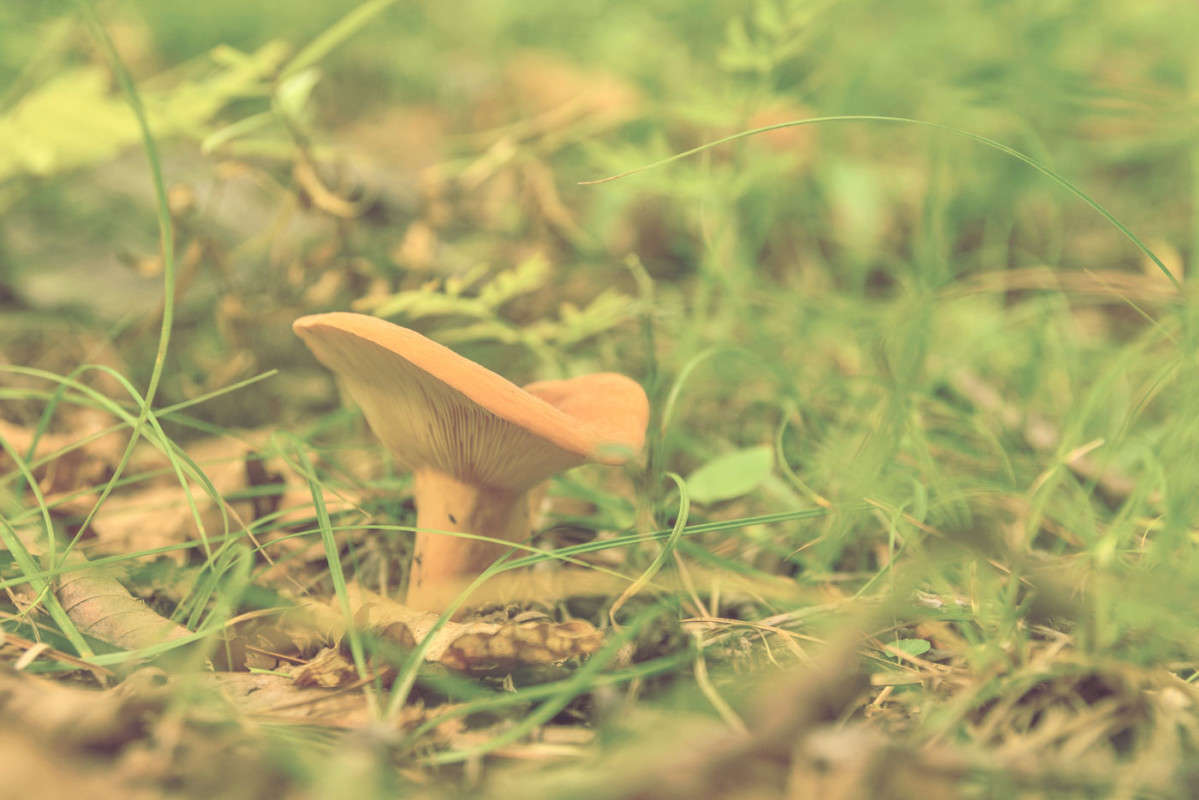 ����� ����� ������� ��������� �� PhotoGeek.ru #������ ��� �������