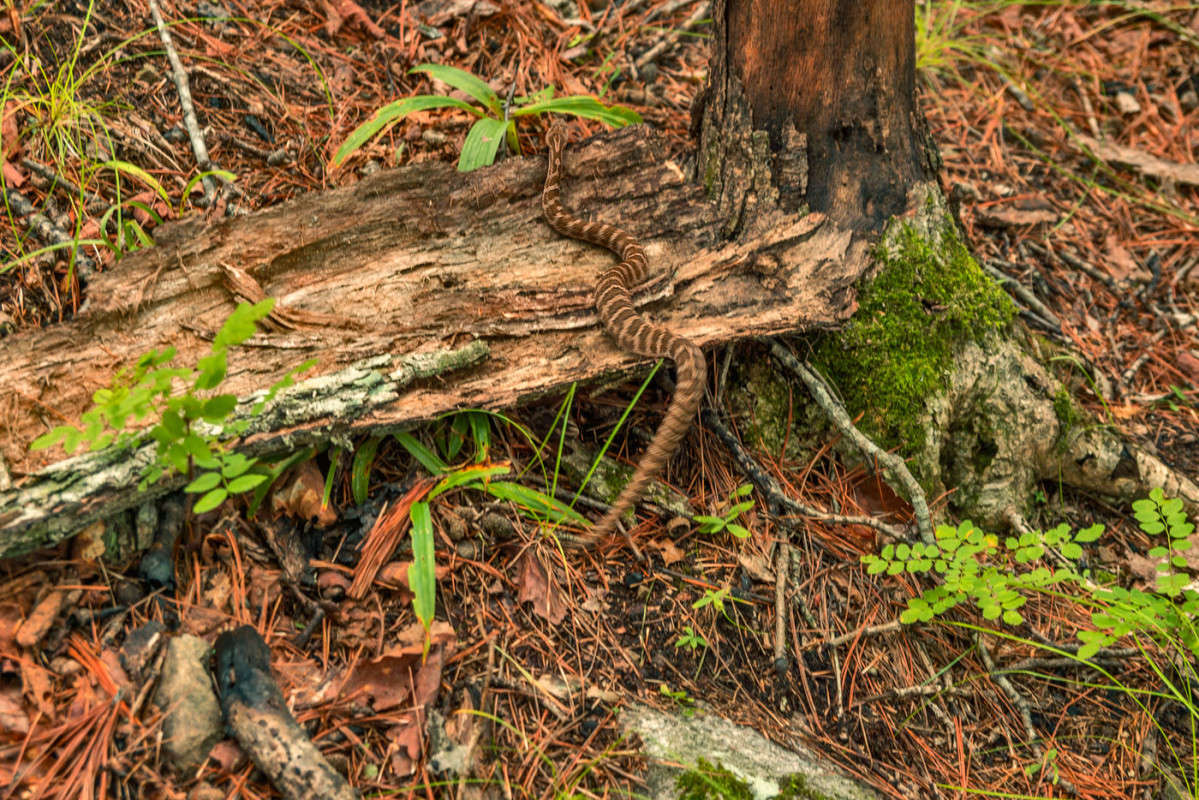 ���� �� ���������... ����� ������� ��������� �� PhotoGeek.ru #�������� ���