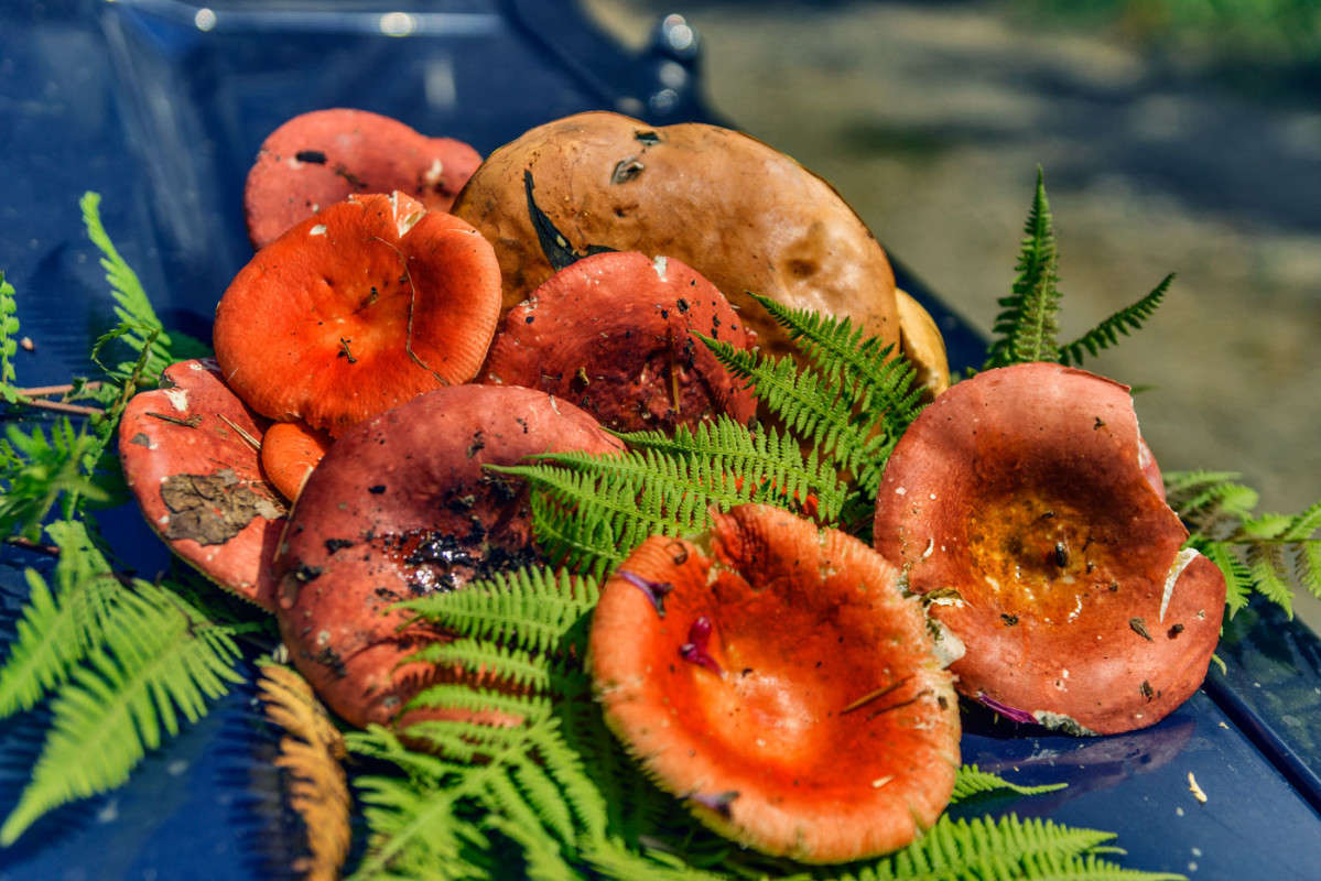 ������ �� ����������... ����� ������� ��������� �� PhotoGeek.ru #���������