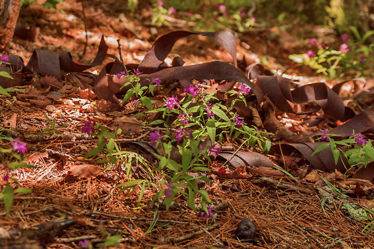 ���� ������ �� ��������� � ����� ����� ������� ��������� �� PhotoGeek.ru #������ ��� �������