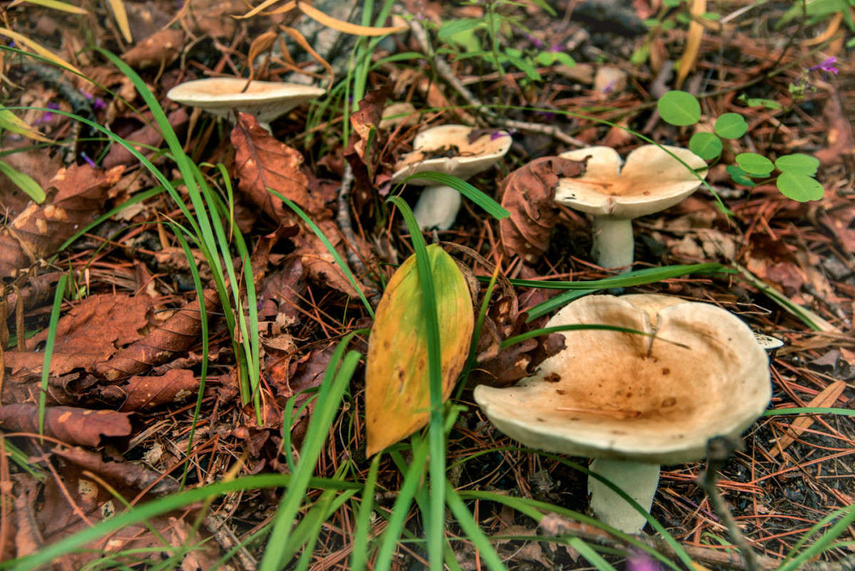 ��������� ����� ������� ��������� �� PhotoGeek.ru #������ ��� ������� #����� ��������������