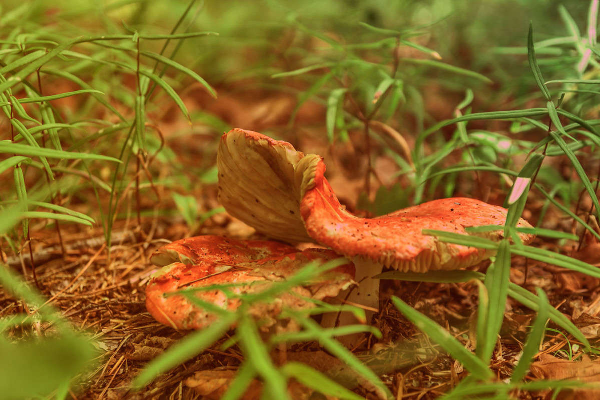 ��� ���������... ����� ������� ��������� �� PhotoGeek.ru #������ ��� ������� #����� ��������������