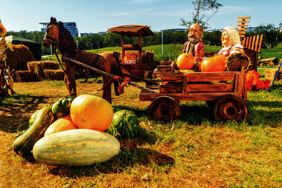 *** ����� ������� ��������� �� PhotoGeek.ru #��������