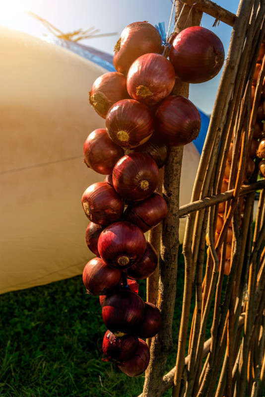 ��� ����� ������� ��������� �� PhotoGeek.ru #��������