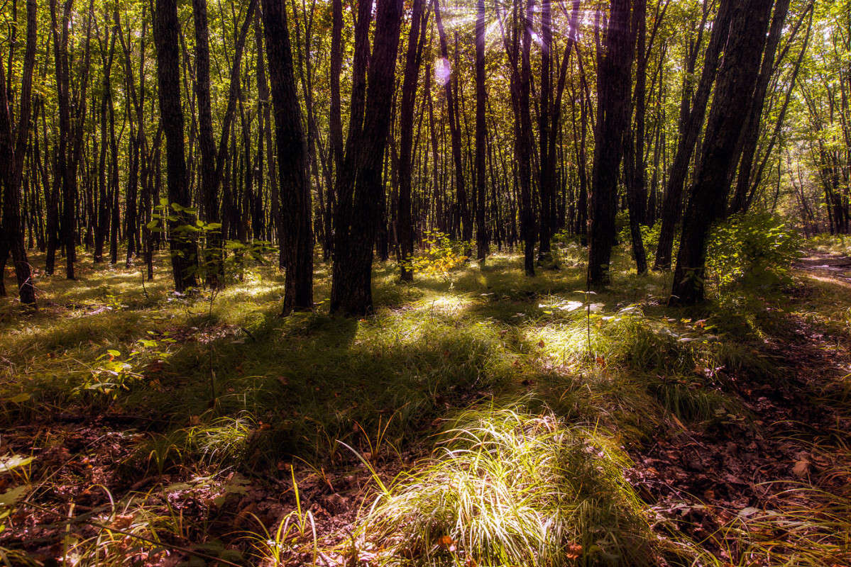 ����� � ����� ����� ������� ��������� �� PhotoGeek.ru #������ ��� �������