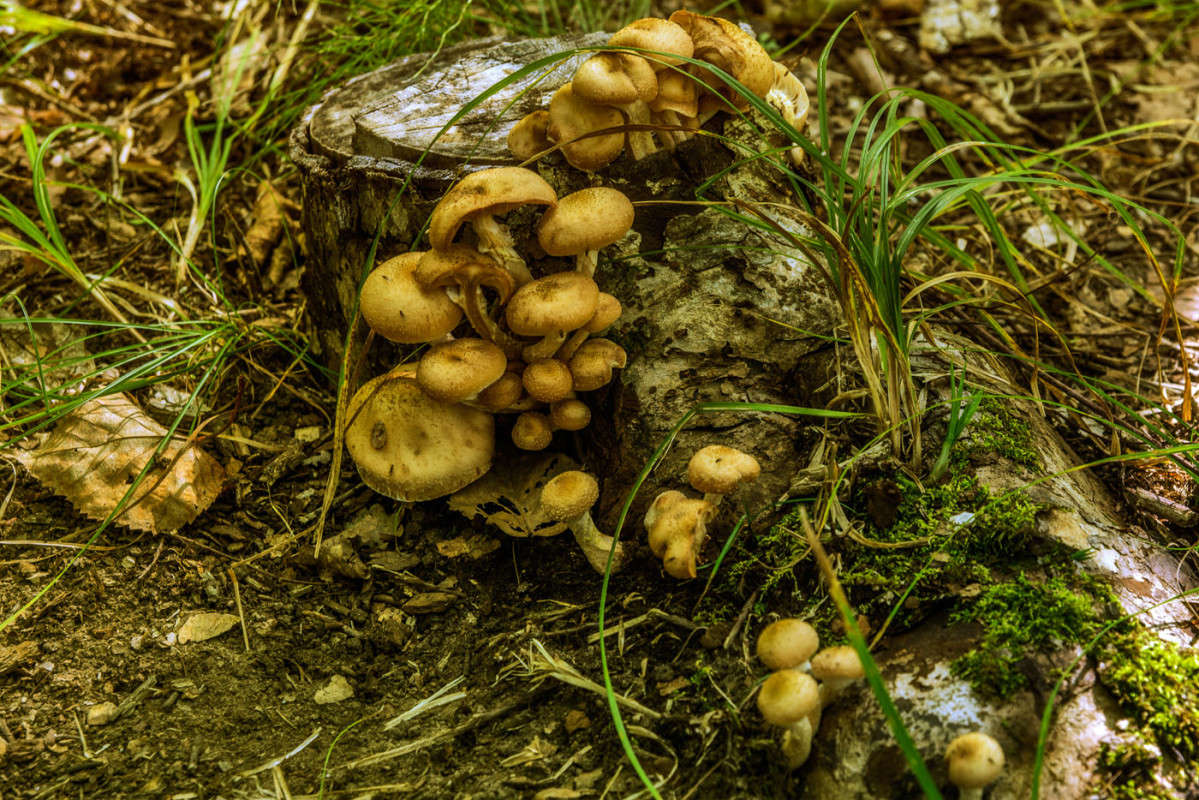 ������))) ����� ������� ��������� �� PhotoGeek.ru #������ ��� ������� #����� ��������������