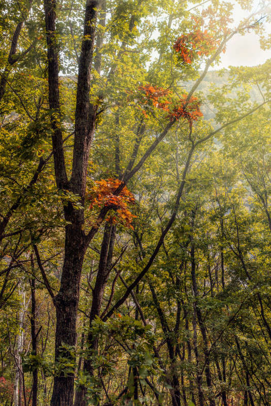 ������ ����� ����� ������� ��������� �� PhotoGeek.ru #������ ��� �������