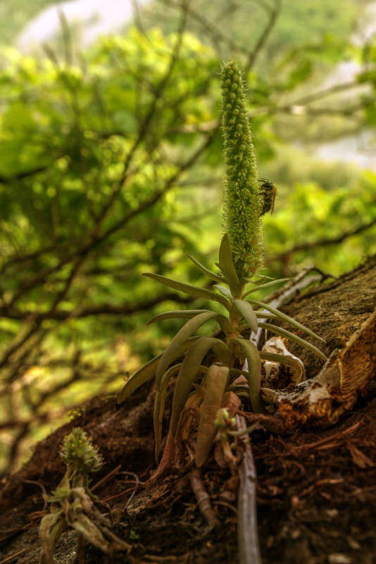 ���������... � ���� �� ��������... ����� ������� ��������� �� PhotoGeek.ru #������ ��� �������