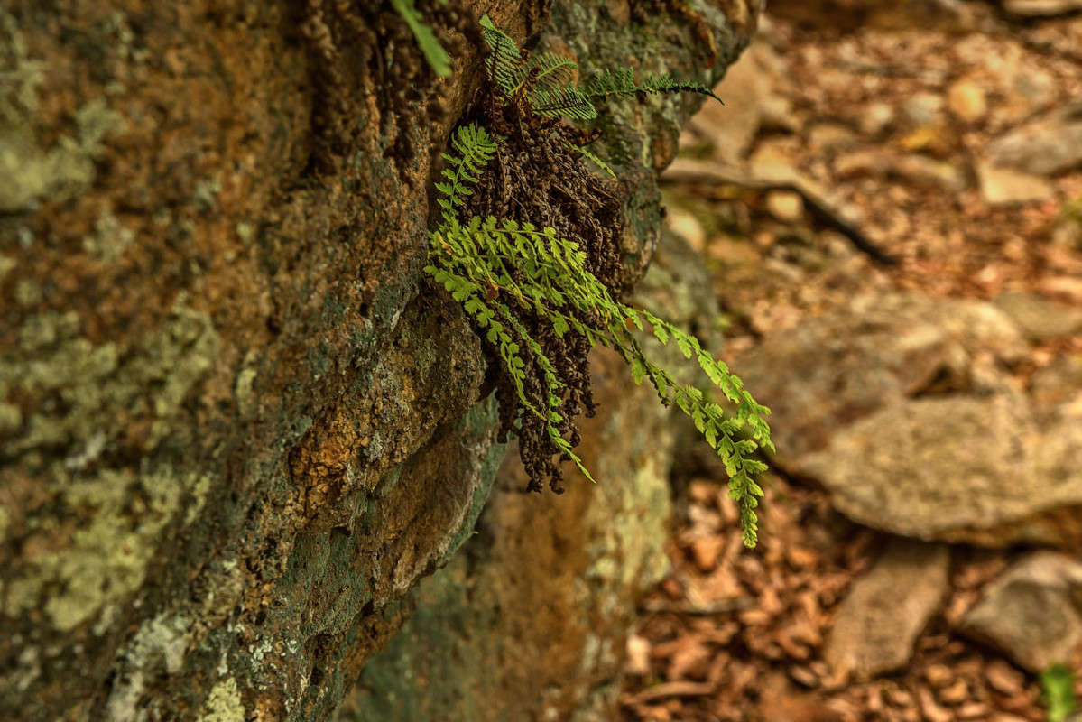 �������� �������������� ����� ������� ��������� �� PhotoGeek.ru #������ ��� ������� #����� ��������������