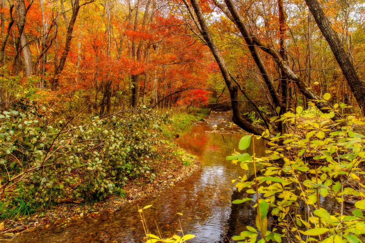 *** ����� ������� ��������� �� PhotoGeek.ru #������ ��� �������