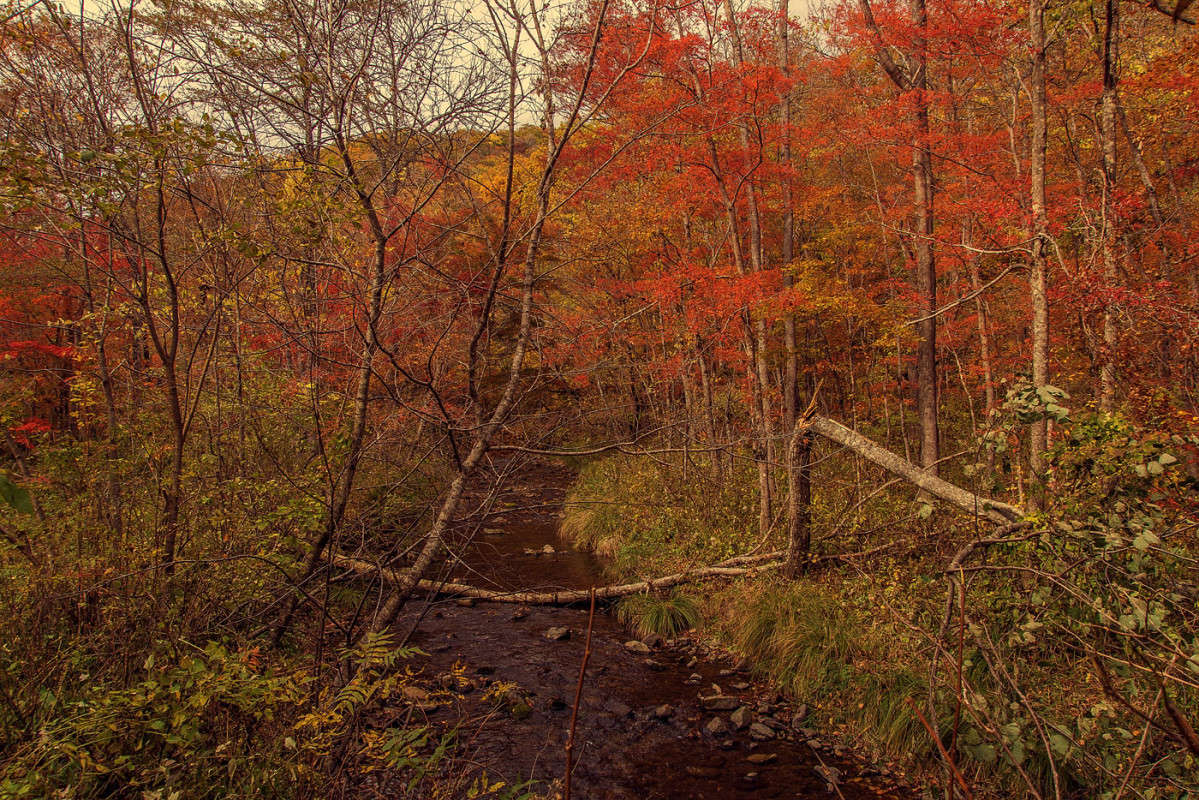 ����� 1 ����� ������� ��������� �� PhotoGeek.ru #������ ��� �������