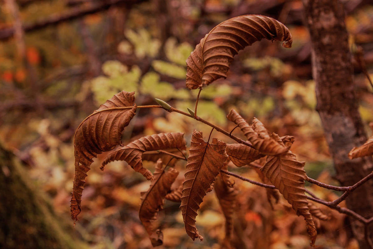 �������� � ����������.... �����... ����� ������� ��������� �� PhotoGeek.ru #������ ��� �������