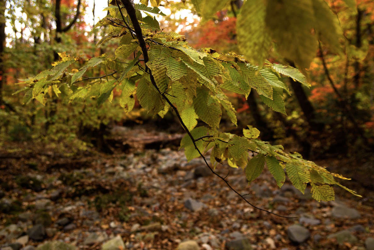 *** ����� ������� ��������� �� PhotoGeek.ru #������ ��� �������