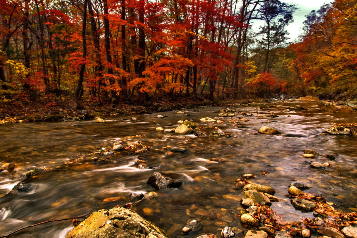 ������� ���� ����� ������� ��������� �� PhotoGeek.ru #������ ��� �������