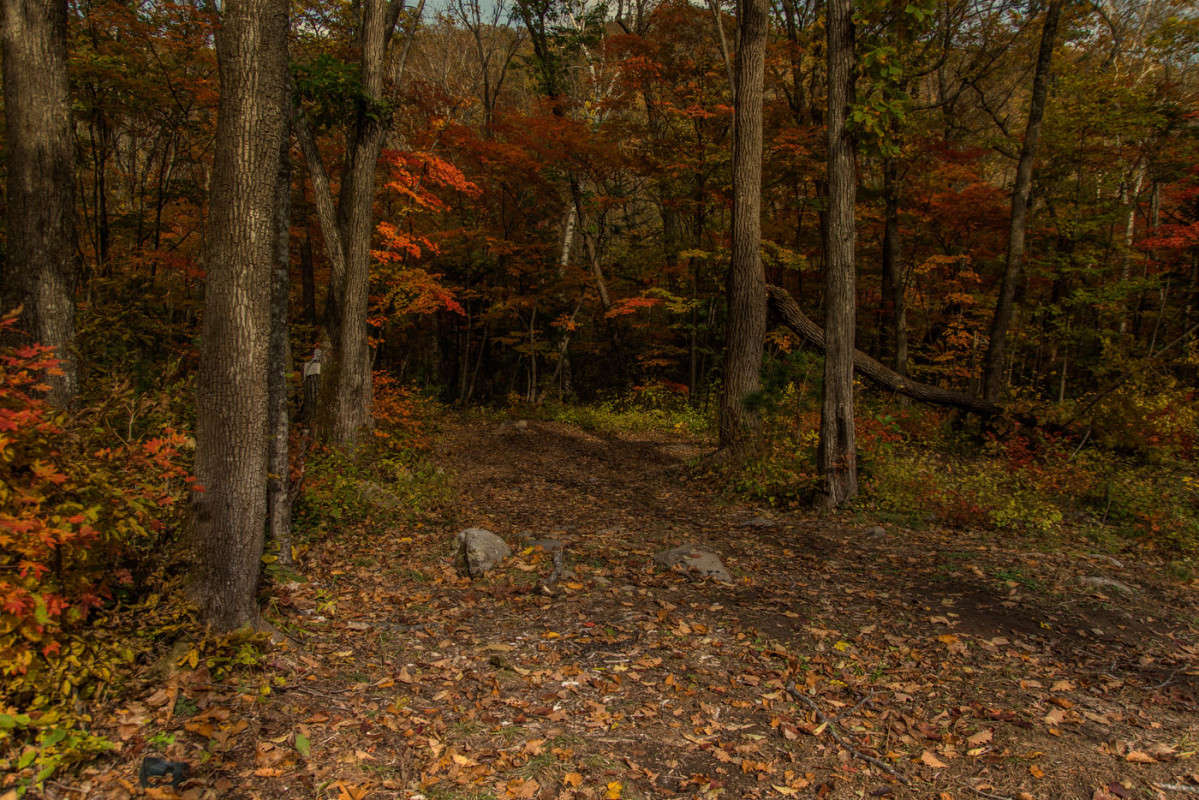 ����� � ���� ����� ������� ��������� �� PhotoGeek.ru #������ ��� �������