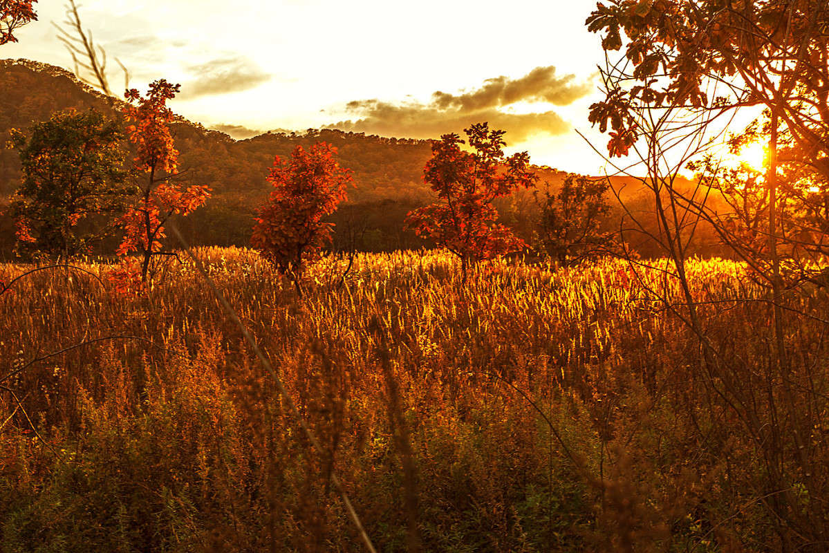 � ����� ������ ����� ������� ��������� �� PhotoGeek.ru #������ ��� �������